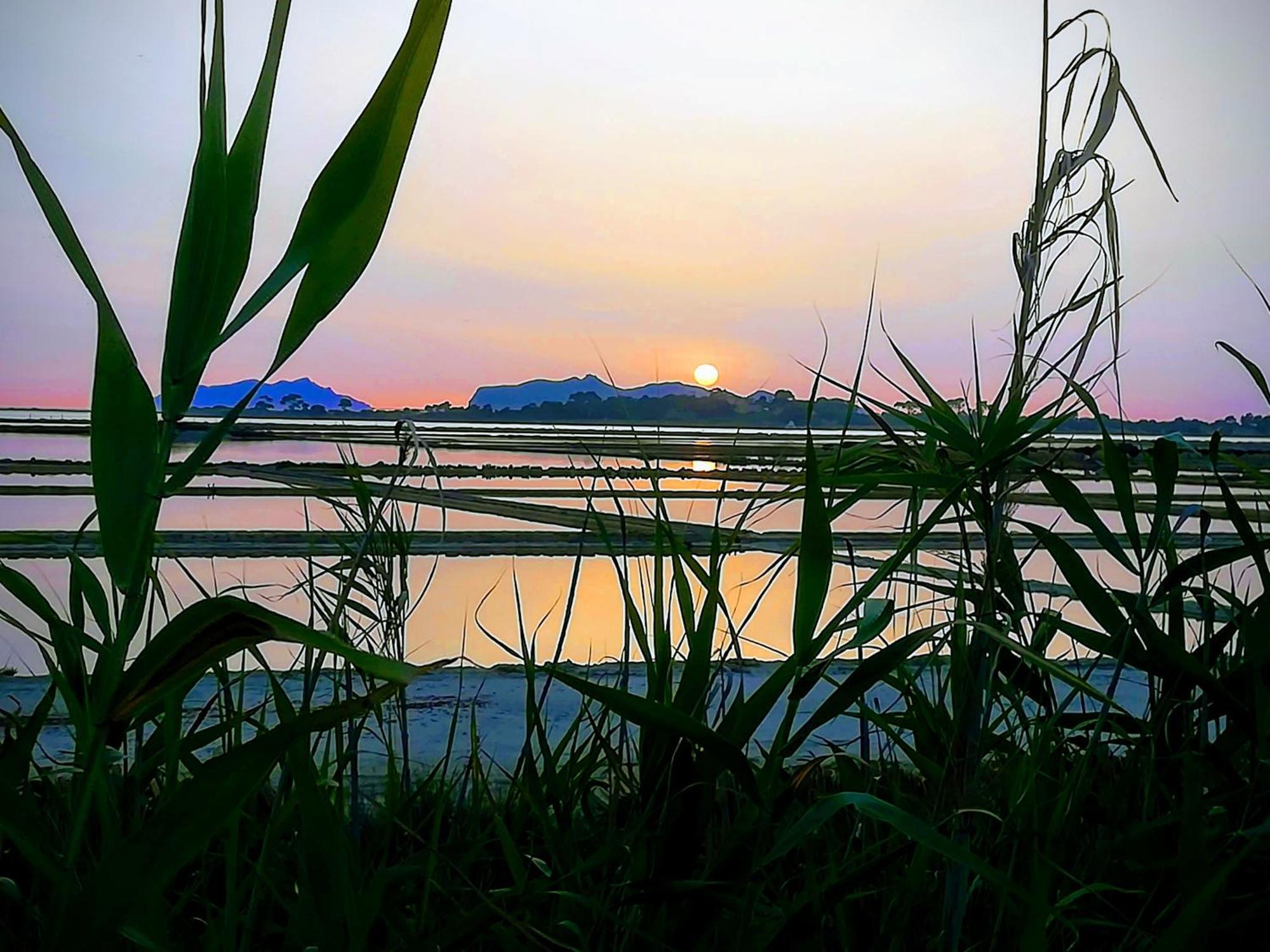 马尔萨拉Sunrise Stagnone - Kitesurf Spot住宿加早餐旅馆 外观 照片